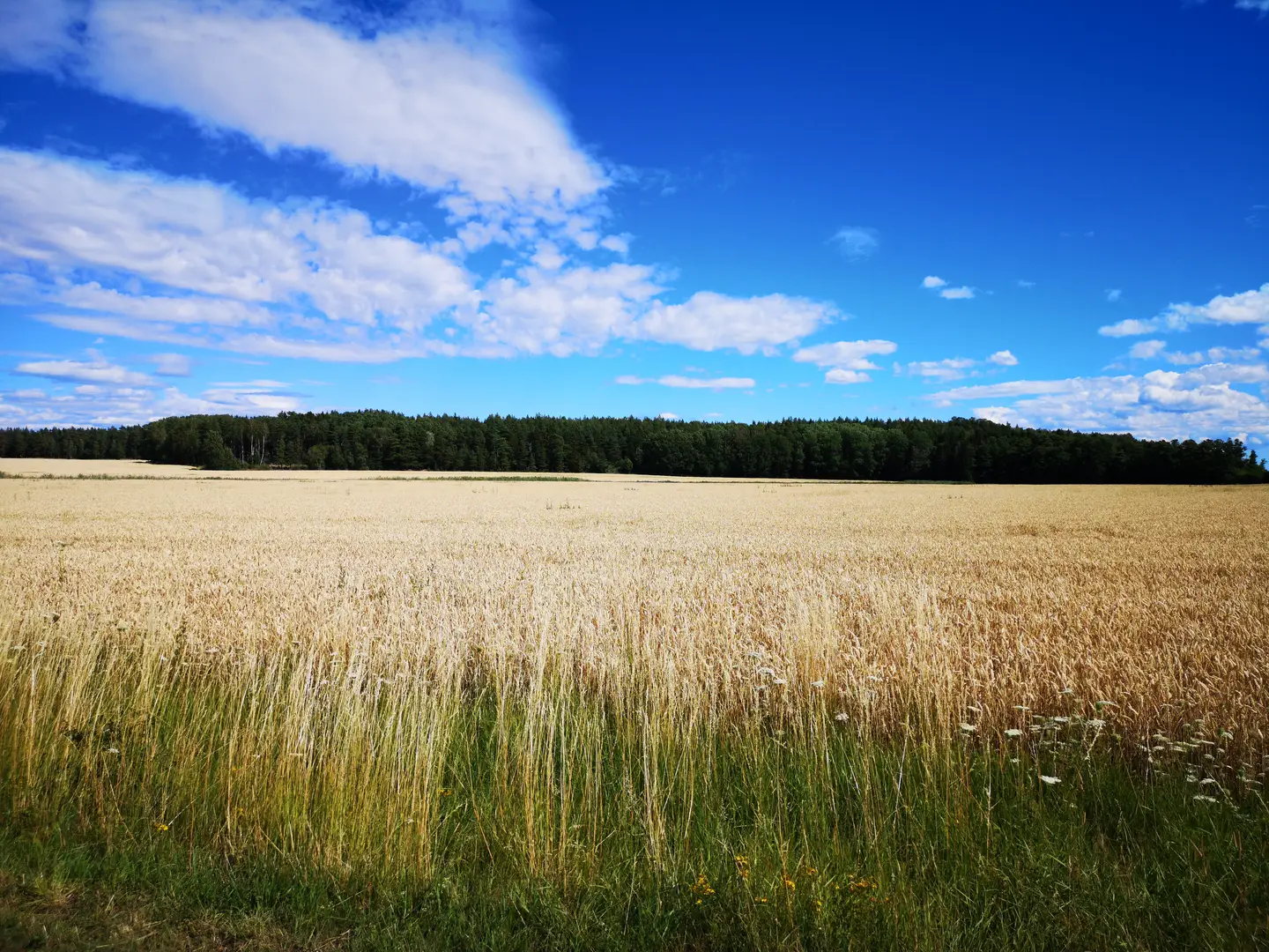 Ventilation i Enköping — EnköpingVentilation.se