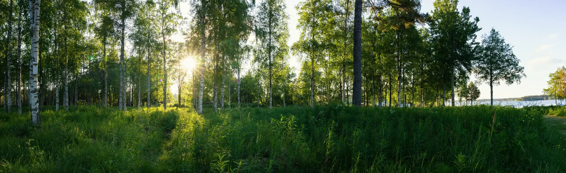 Professionell radonmätning i Enköping